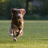 lekker spelen (www.infoleo.nl)