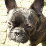 Foto van marcella,lola,fay