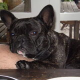 Foto van marcella,lola,fay