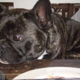Foto van marcella,lola,fay