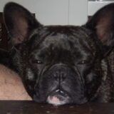 Foto van marcella,lola,fay