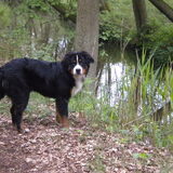 Lloyd, loop nu toch eens door want dat poseren vind ik zomaar niks ...