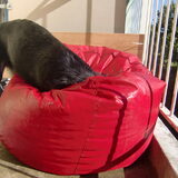 Waar is Roxy nou?:P