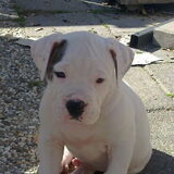 Foto van Wendy
