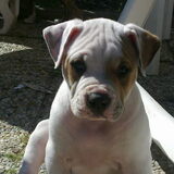 Foto van Wendy
