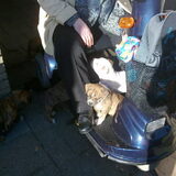 Foto van Wendy