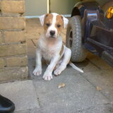 Foto van Wendy