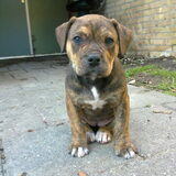 Foto van Wendy