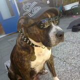 Foto van Wendy