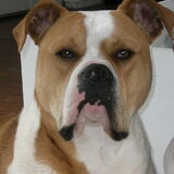 Foto van Wendy