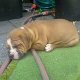 Foto van Wendy