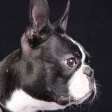 Dyéngo eerste fotoshoot