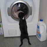 Wasmachine