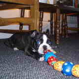 spelen