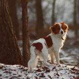 winter.