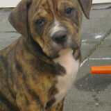 Foto van Wendy