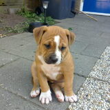 Foto van Wendy