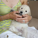 Foto van Zzoef Rossi & Lorenzo
