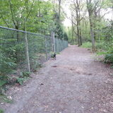 Even m´n ontlasting laten lopen.