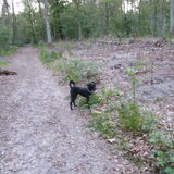 Foto van anne