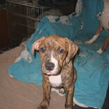 Tyson