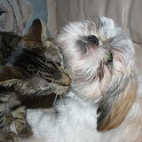 lizzy met haar beste vriendinnetje sofie