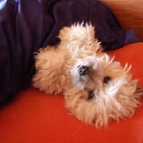 Ik had al heel snel door dat ik ook leker in bed wilde slapen!