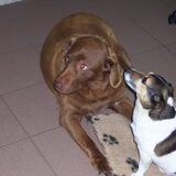 boris & moby