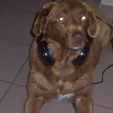 boris ( 14,5 jaar) overleden 11/12/2008