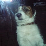 chucky