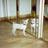 Foto van Hetty & Skipper