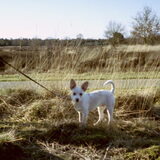 Foto van Hetty & Skipper