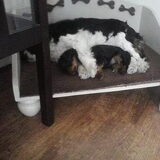 Samen slapen is zooooooo lief !!!!