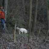Heerlijk wandelen in de Belgische Ardennen