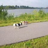 langs de oude maas kun je ook lekker struinen