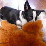 Foto van Claire & Tess & Bonny