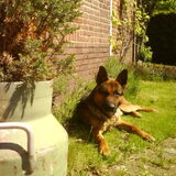 Richy, meneer de directeur!