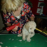 knip knip
