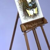hier is de foto ook bewerkt van mijn overleden carake