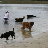 Ik in het water