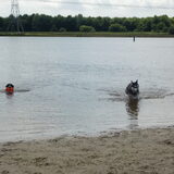 Foto van Linda; Roxy & Buddy