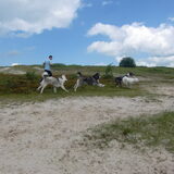 Foto van Linda; Roxy & Buddy