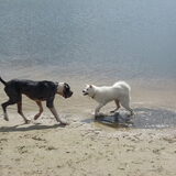 Wandeling Sappemeer 12-06-2010
