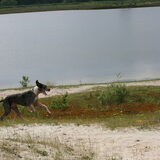 wandeling sappemeer