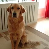 Foto van D en L*je kunt niet alle honden van de wereld redden, maar wel de wereld van een hond*