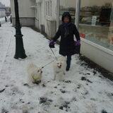 samen naar de carnavals optocht 2010