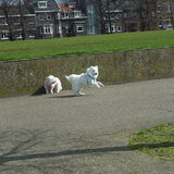 langs de maas wandelen