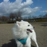 maaswandeling