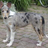 Blue 3 maanden, van haar mooiste kant !