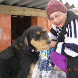 Foto van liesbeth,Turbo,Luna, Levi en Faith